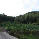 양지축사 이미지