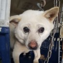 포승장안로 이미지