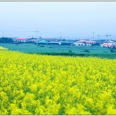 일신의원 이미지