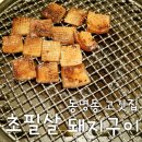 6539 | 동명동 고깃집 초필살돼지구이 광주동명점 소금오겹살,진짜뒷고기,벌집껍데기 솔직후기