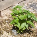 공릉행복발전소 이미지