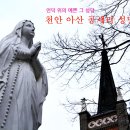 꽃피는봄에 이미지