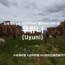[남미여행]_남아메리카여행_Day35_볼리비아여행, 우유니[Uyuni]_칠레, 산 페드로 아타카마를 떠나...
