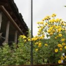 봉화황토민박 이미지