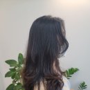 메종드헤어 - 안양시 만안구 | 메종드헤어