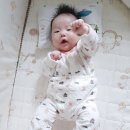 도율