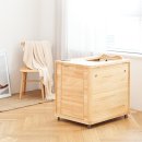 에버스토리 이미지