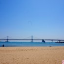 세흥시장 이미지