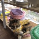 서희민박 이미지