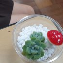 합포여자중학교 이미지