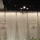 스테프핫도그전경련회관점 | 여의도웨딩컨벤션 그랜드볼룸 하객 후기 | 분위기·주차·atm·뷔페 총정리