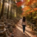 산림욕장 | 상소동 산림욕장 후기｜돌탑 숲길·단풍·산책코스 솔직 정리 (대전 힐링 명소)