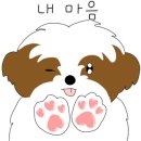여수느낌 이미지