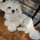 모찌네호캉스 이미지