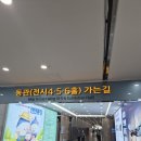 260607 iM뱅크 코리아오픈마라톤 10km 후기 - ① 대구 엑스코 꽃축제, 여의도 더현대서울