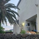 스테이 협재10길 | [제주도] 협재 스테이 10길