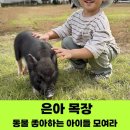 은아 | 은아목장 예약 없이 2회 방문 후기 / 아기 목장체험 하기 좋은 곳 / 24년 6월, 24년 10월 방문