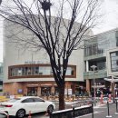 엑스포로123번길(유성-107) | 대전 성심당 빵 DCC점 예약 주차 튀소 정거장 메뉴 추천