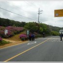 입석목장 이미지