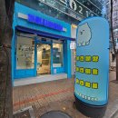 해피애견더샵 네이버블로그