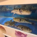 거묵빌딩 이미지