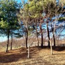 박촌공원 이미지