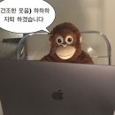 채동복농장 | It's summertime!