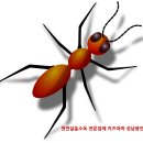 개미어린이집 이미지