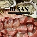 비스트로 딤섬 | 부산 방어회 맛집 • 초읍 비스트로강 마라크림딤섬 내돈내산 후기