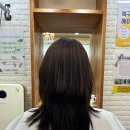 헤어코코 네이버블로그