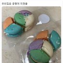 하이하이 이미지