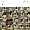 ㅋ ㅠ당구장 이미지