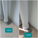 엘가바이오