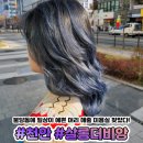 살롱더비앙