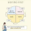 대구 수성구 임산부 슈가링 브라질리언 왁싱 추천[셉텐버뷰티]