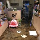 멍그루밍 이미지