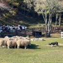 바우목장 이미지