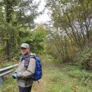 축령산아침 이미지