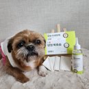 (주)헬로마이펫 이미지