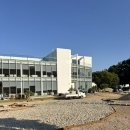 양산버드나무한의원 | 양산카페| 느티나무의 사랑 🪿🪿라벤더의 향연💜