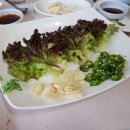 새터식당 이미지
