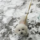 몽멍이들 이미지