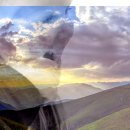 닥터허치과의원 이미지