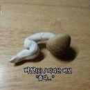 제주에 산다 이미지