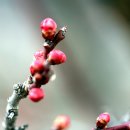 구산4리 이미지