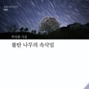 동인나무