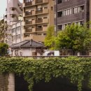 이교안경 이미지