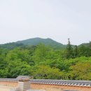 송광사식당 네이버블로그