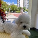 포드그루와 이미지