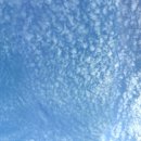 강변체육공원 이미지